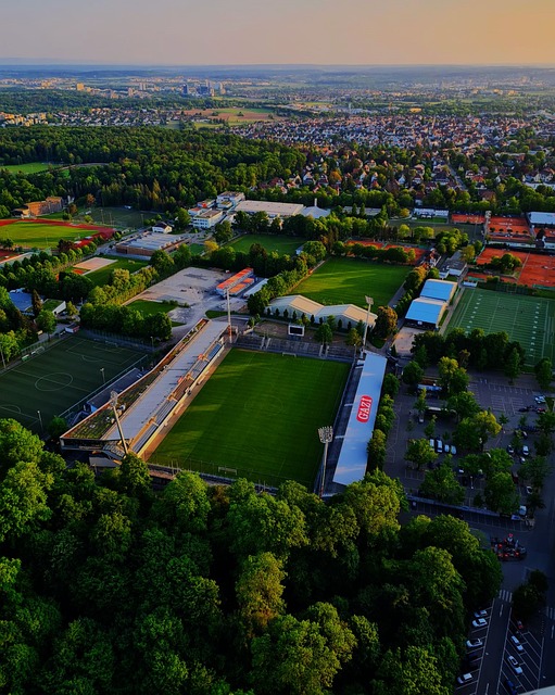 三笘薫的转 三笘薫的转