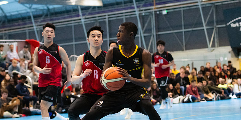 如何选择自 如何选择自